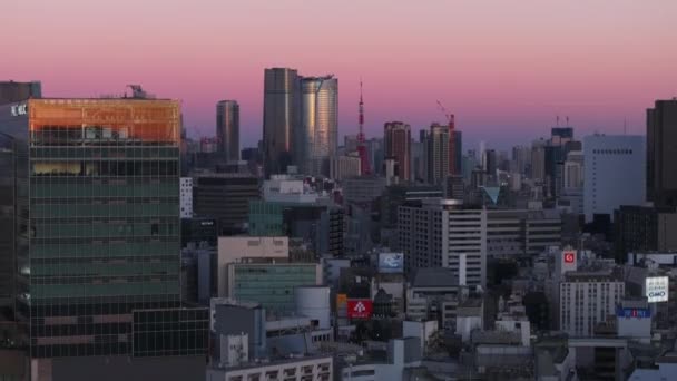 Wznoszące Się Zdjęcie Wieżowca Miejskiej Dzielnicy Metropolis Różowy Zmierzch Nieba — Wideo stockowe