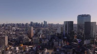 Yüksek katlı ofisleri ya da apartmanları olan modern metropolün hava görüntüleri. Gökyüzü altında büyük bir şehrin silueti. Tokyo, Japonya.