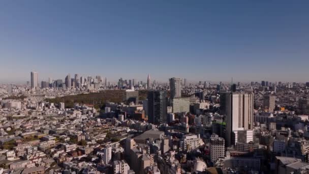 Panoramiczny Widok Lotu Ptaka Duże Miasto Dzielnicę Miejską Duży Park — Wideo stockowe