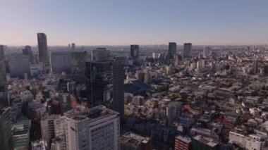 Metropolis 'in şehir merkezindeki binaların hava panoramik manzarası. Öğleden sonra güneşinde düz bir arazide geniş bir şehir. Tokyo, Japonya.