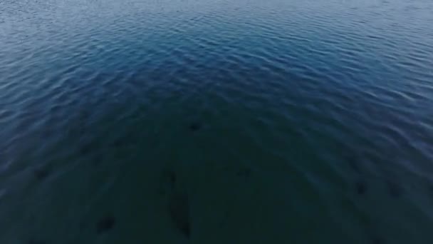 Высокий Угол Обзора Поверхности Воды Вперед Летят Над Озером Наклон — стоковое видео