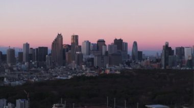 Gökyüzünün alacakaranlık renklerine karşı büyük bir park ve modern şehir merkezindeki yüksek katlı ofis binalarının hava görüntüleri. Tokyo, Japonya.