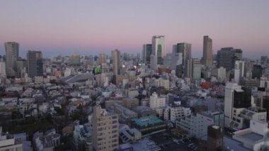Gökyüzü alacakaranlıkta gökyüzüne karşı modern yüksek binalarla şehir merkezinin havadan panoramik manzarası. Tokyo, Japonya.