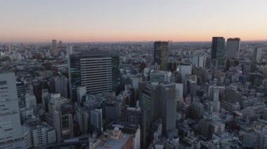 Alacakaranlıktaki devasa metropolün havadan panoramik görüntüsü. Yoğun şehir gelişimi olan geniş bir alan. Renkli alacakaranlık gökyüzü. Tokyo, Japonya.