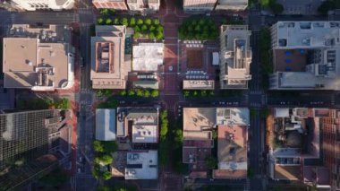 Kentsel mimariye kuşların bakış açısı, gökdelenler çatılar sokaklar, ve büyük bir Amerikan şehrinin şehir merkezindeki yeşillik..