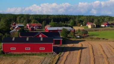 Kızıl çiftlik binaları, yemyeşil ağaçların çerçevelediği, bulutlarla benekli mavi gökyüzü altında toplanmış bir buğday tarlasının yanında duruyor ve Finlandiya 'nın Aland şehrinde güzel bir kırsal alan oluşturuyor..