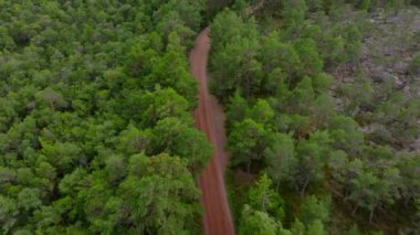 Havadan bakıldığında, canlı yeşil bir ormanın içinden geçen ve bu tenha arazinin huzur veren cazibesini yakalayan dolambaçlı toprak bir yol görülüyor..