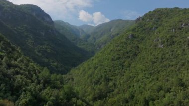 Yunanistan 'daki Olimpos Dağı milli parkındaki yemyeşil bir vadinin nefes kesici manzarası. Kamera, sık ormanı ve görkemli zirveleri göstererek pürüzsüz bir şekilde hareket ediyor..