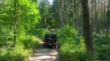 Siyah SUV, yemyeşil bir ormanla çevrili dar bir toprak yolda ilerliyor. Güneş ışığı yoğun gölgeliklerden süzülerek, doğada sakin bir atmosfer yaratır..
