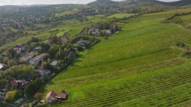 Viyana, Avusturya 'nın banliyölerinde yemyeşil üzüm bağları ve antika evler, doğal güzellik ve sakin kırsal cazibeyle dolup taşan çarpıcı bir manzara yaratır..