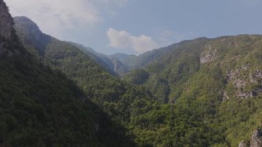 Dağ yeşili bir ormanın üzerindeki hava manzarası, parlak bir yaz güneşinin altında güneşleniyor. Çarpıcı bir ağaç dizisi ve berrak mavi gökyüzü pitoresk bir doğal manzara yaratır..