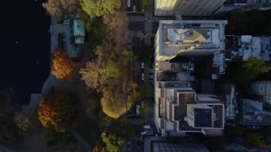 New York 'taki Central Park yakınlarındaki 2. Cadde' de arabalar sürüyor. Yukarı Doğu Yakası 'ndaki sonbahar boyunca güneş çatılarda ve ağaçlarda parlıyor..