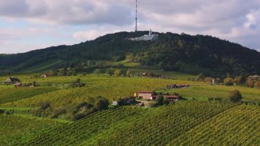 Avusturya, Viyana 'nın eteklerindeki bir tepenin tepesinde bulunan üzüm bağlarını ve bir vericiyi hava görüntülüyor. Güneş ışığı manzarayı aydınlatır, canlı mavi gökyüzünü ve büyüleyici kırsal kesimi gösterir..