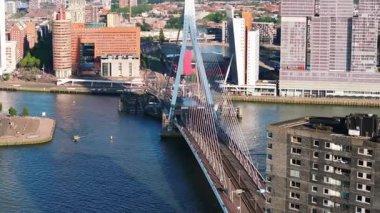 Modern yüksek binalar ve kentsel faaliyetlerle Nieuwe Maas nehri üzerindeki ünlü Erasmus Köprüsü 'nün Rotterdam manzarası.