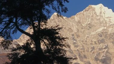 Siluetli ağaç çerçeveli Everest taçlandırılmış, el değmemiş Nepal vahşi zeminine karşı Himalaya zirvesini vurguluyor..