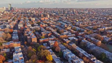 Hava görüntüsü Brooklyn, New York 'taki yerleşim yerlerini, altın sonbahar yapraklarını, ağaçlarla kaplı caddeleri, kumtaşı binaları yakalıyor..