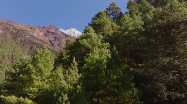 Sagarmatha Ulusal Parkı 'ndaki yoğun çam ormanlarının üzerinde yükselen karlı Everest Dağı zirvesi Himalaya dağlarının dramatik manzarasını gözler önüne seriyor..