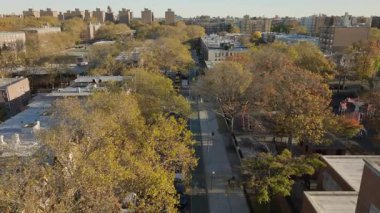 Şehir manzarası Queens caddesinin altın yapraklı ağaçlarla kaplı olduğunu gösteriyor. Sonbahar şehri boyunca gün ortasında hareket eden yoğun trafiği yakalıyor..