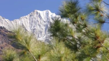 Çam dallarının kapalı bir bakış açısıyla, Nepal 'deki el değmemiş Himalaya vahşi doğasındaki Karlı Everest Dağı' nı gözler önüne seriyor..