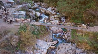 Metal köprüyü dağ nehrinden geçiren hayvanları yükleyin. Uzak Himalaya yerleşimlerini geleneksel ulaşım metodunu kullanarak engebeli araziyle birleştirin..