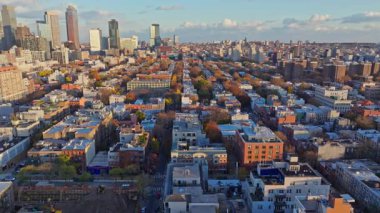 Gökyüzü perspektifi Brooklyn, New York ilçesi, yerleşim bölgeleri ve mimari siluetler boyunca yayılan altın sonbahar yapraklarını gösteriyor.