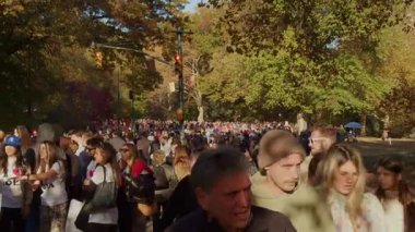 Central Park, New York Maratonu sırasında sonbahar ağaçlarının arasında yürüyen turist ve yerlilerle dolup taşarak şehir atmosferini ve boş zamanlarını yakalıyor. NYC, ABD, 11.5.2024.