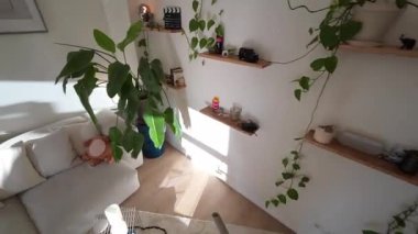 Konforlu bir apartman dairesinde çiçekleri sulayan bir adamın bakış açısı, Avrupa 'daki bir dairede çeşitli açıları ve perspektifleri gösteriyor, Berlin, 5.8.2025.