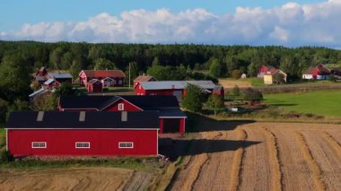 Kızıl çiftlik binaları, yemyeşil ağaçların çerçevelediği, bulutlarla benekli mavi gökyüzü altında toplanmış bir buğday tarlasının yanında duruyor ve Finlandiya 'nın Aland şehrinde güzel bir kırsal alan oluşturuyor..