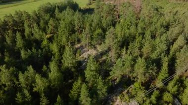 Finlandiya kırsalının hava perspektifinden geniş yeşil ormanlar, tarım arazileri ve arazide geçen elektrik hatları sergilenmektedir..