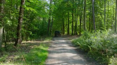 Havadan bakıldığında, yaz boyunca yemyeşil bir ormanda toprak bir yolda ilerleyen beyaz bir SUV görülüyor. Güneş ışığı ağaçların arasından süzülür, dingin manzarayı vurgular..