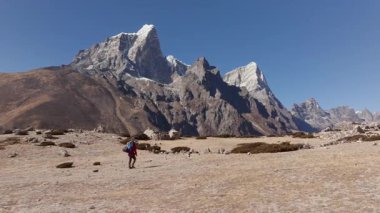 Himalayalar 'da Himalayalar' da Rocky Ovası 'nda yürüyüş yapan yürüyüşçü. Arka planda görkemli kar örtülü dağlar..