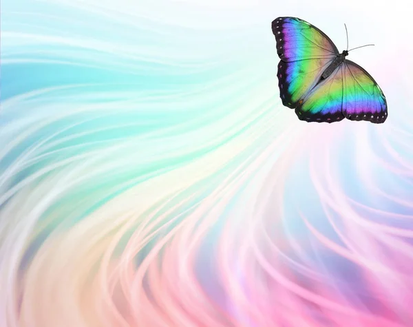Away Butterfly Soul Journey Concept Multicoloured Butterfly Flying Top Right — Stock Photo, Image