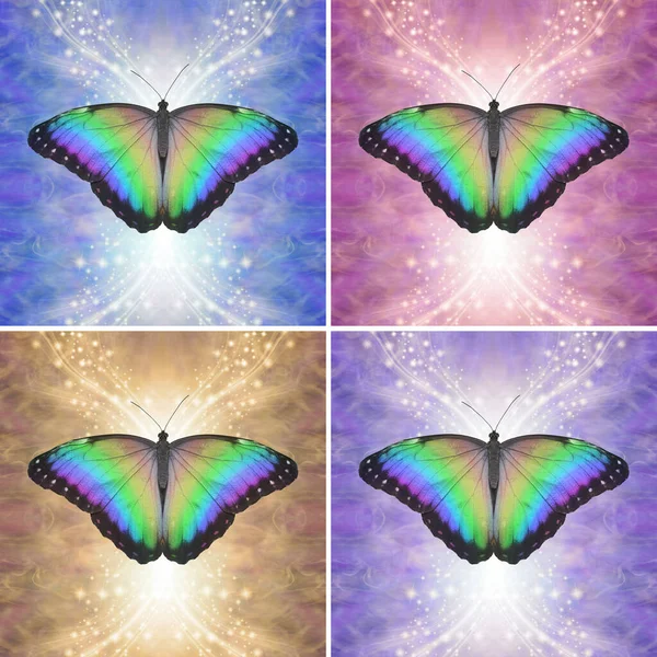 虹蝶コースターの場所マット4色 精神的なコースターや場所マットのセットのための理想的な赤 ピンク 紫の輝くエーテルの背景に美しい多色オープンウイング蝶 — ストック写真