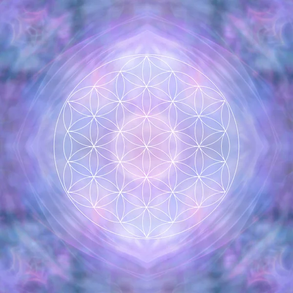 Lilac Flower of Life Symbol Template Background - complete soft focus  Flower Of Life Mandala background ideal for spiritual holistic theme