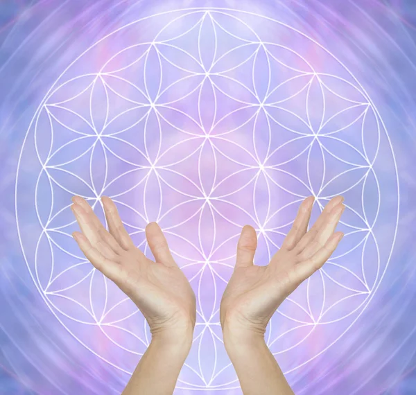 Healing Hands Flower Life Symbol Message Background Female Hands Reaching — Stock Photo, Image