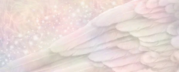 Warm Pastel Angel Wing Mensagem Banner Grande Asa Anjo Detalhado — Fotografia de Stock