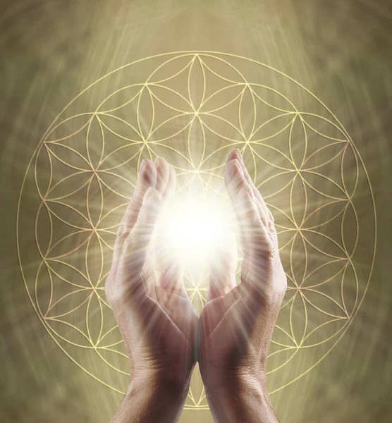 Healing Hands and Flower of Life Symbol Message Background - male parallel hands with white star light between against a golden Flower of Life background ideal for a spiritual holistic healing theme