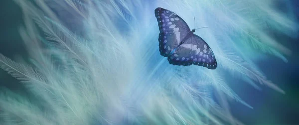 灵蝶整体讯息背景 朦胧的蓝绿色蝴蝶在飘逸的浅色羽毛的映衬下飞舞而去 并抄袭周围的空间作为文本 — 图库照片