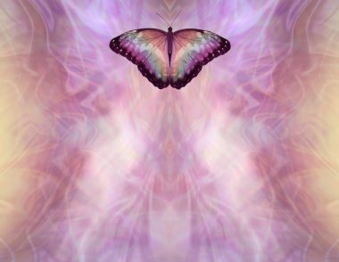 Ruhani Kelebek Holistik mesaj arkaplanı - İnce mavimsi şeftali tonları arkaplan ve ruhani enerji alanına karşı uçan bir kelebek ve metin için boşluk kopyalama