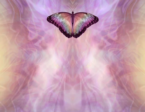 Spiritual Butterfly Holistic Message Memo Background Wispy Magenta Peach Tones — Stock Photo, Image