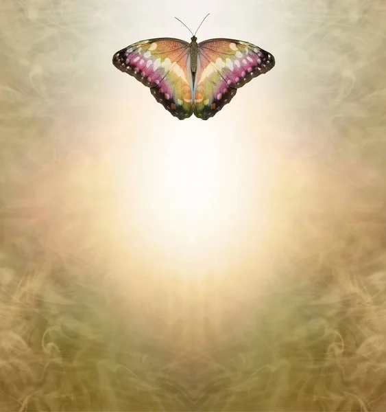 Golden Spiritual Butterfly Holistic Message Memo Background Nebelige Warme Töne — Stockfoto