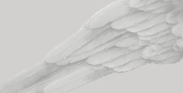 Modèle Bannière Message Angel Wing Gris Pâle Simple Cool Grande — Photo