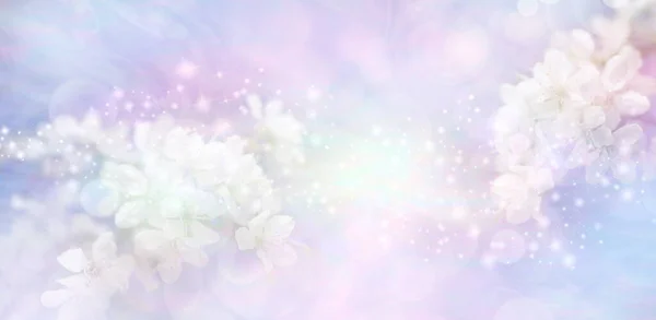 淡いピンクのライラックの花の驚きのメッセージバナーの背景 白い花の小枝結婚式のための理想的なコピーのためのスペースとパステルのボケの背景に対する輝きの白い光爆発の両側 — ストック写真