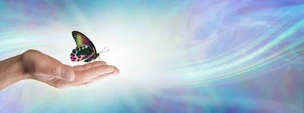 나비의 정신적 메모와 나비가 손바닥 흐르는 에너지 문자를 복사하는 공간에 — 스톡 사진