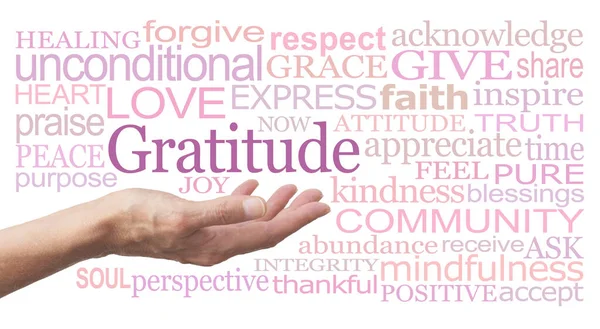 感謝祭のテーマ感謝祭の言葉タグクラウド 白い背景に関連する単語の雲に囲まれた上の単語Gratitudeと女性の手を開いてヤシ — ストック写真