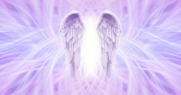 stock image Angel Healing Lilac Lattice  background - feathered wings with white light between against a lilac  pink ethereal wispy symmetrical background with copy space for your text