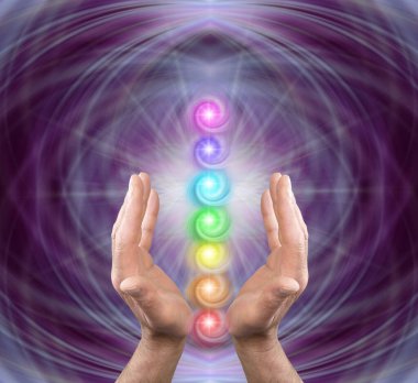 Reiki ustası yedi çakrayı sunuyor - mor simetrik ruhani arkaplan karesi erkek kolları yukarı uzanıyor ve aralarında yedi girdap çakrası yığını var                             