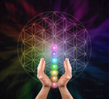 Yaşam Çiçeği ve Yedi Çakra Şifalı Duvar Sanatı - Erkek Şifacı 'nın elleri ile çok renkli bir arka plan ve yaşam sembolü arasında yedi çakra