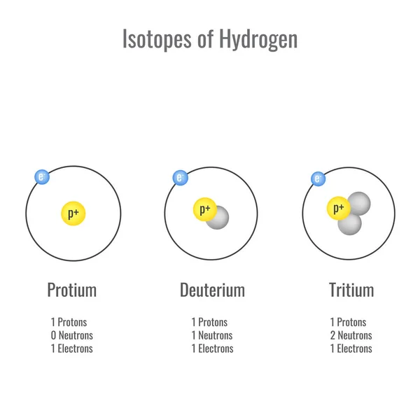 stock vector Isotopes of Hydrogen vector illustration