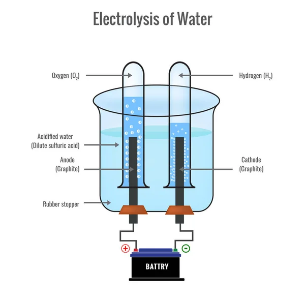 Electrolysis Water Forming Hydrogen Oxygen Vector Illustration — Stock Vector